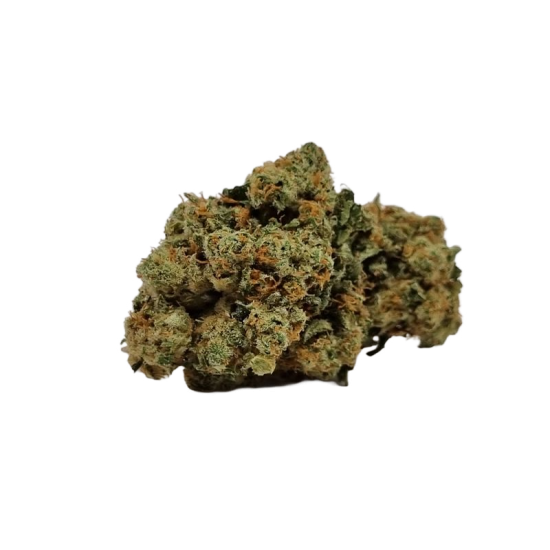 Alien Skunk - à partir de...