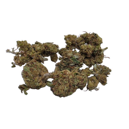 GELATO– à partir de 4€/gr !