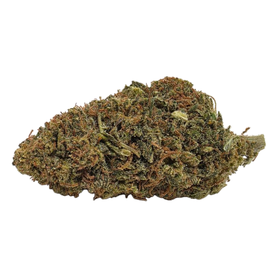 SOUR LEMON – à partir de...