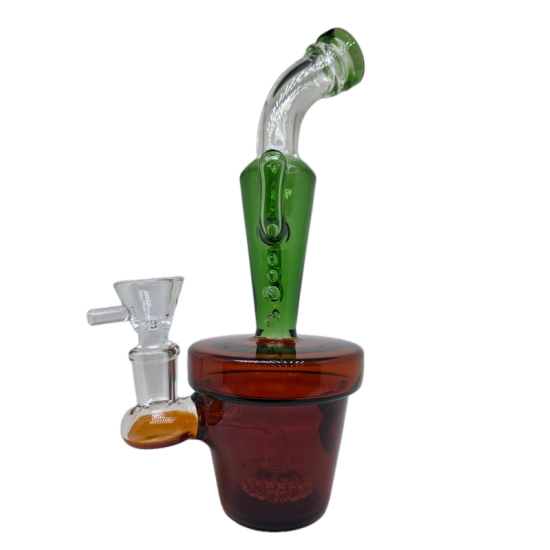 BANG CACTUS