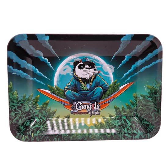 GANGSTA PANDA PLANE